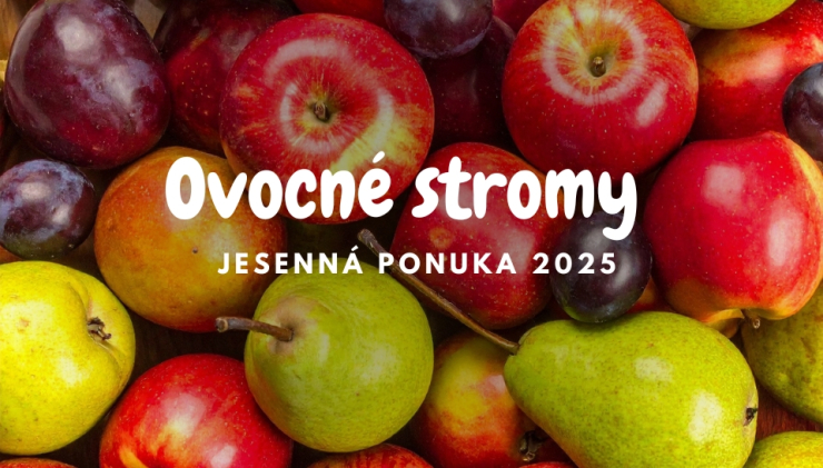 Ponuka ovocných stromov pre jeseň 2025