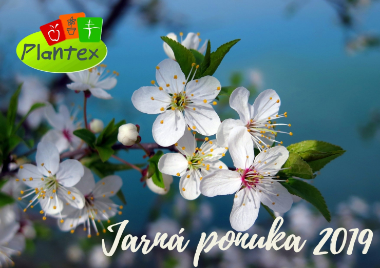 Jarná ponuka 2019
