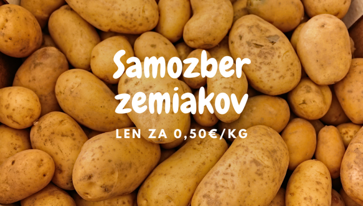 Samozber zemiakov