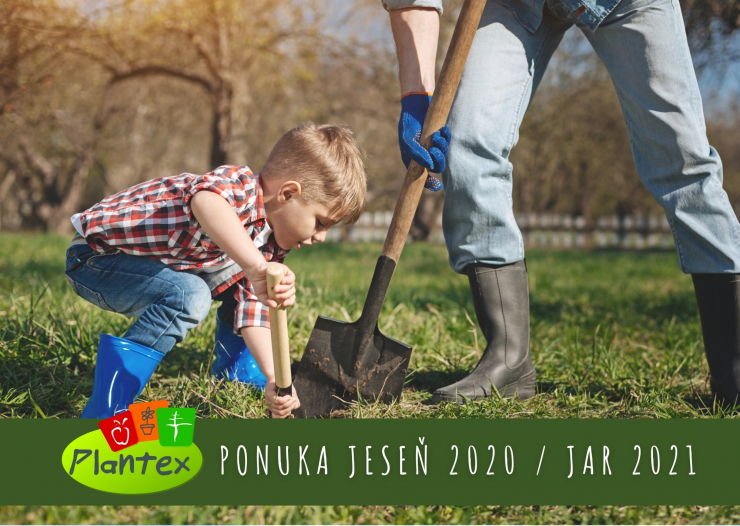 Katalog 2020-2021